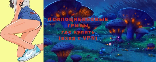 прущие грибы Навашино