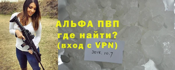дурь Инта