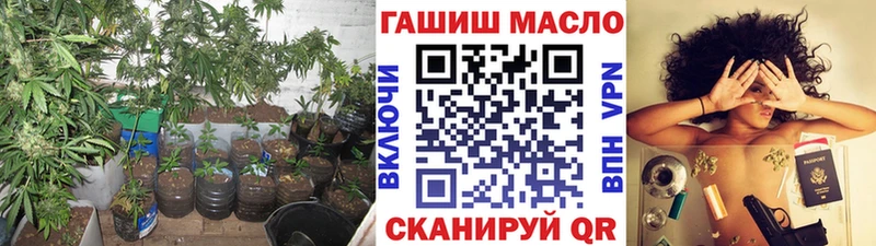 ТГК концентрат  Купить закладки  Гуково 